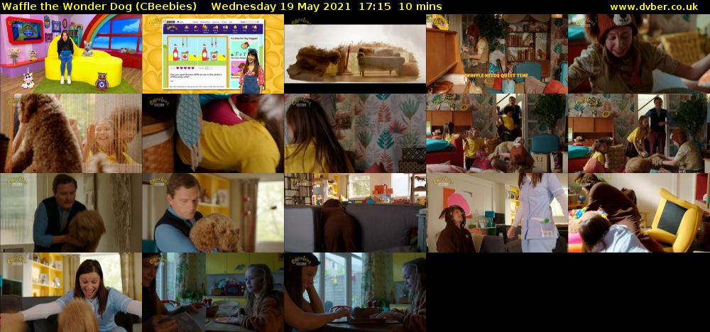 Waffle the Wonder Dog (CBeebies) Wednesday 19 May 2021 17:15 - 17:25