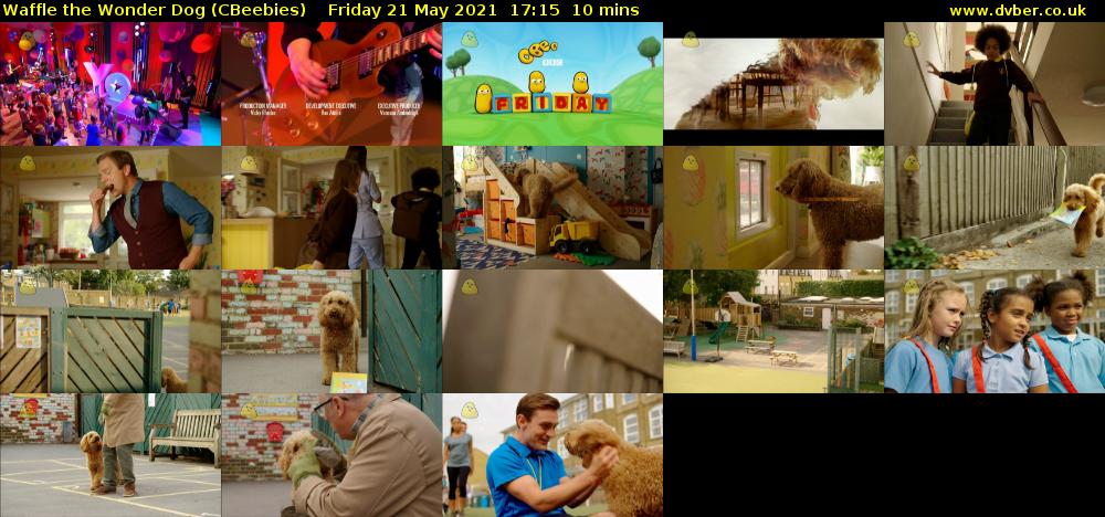 Waffle the Wonder Dog (CBeebies) - 2021-05-21-1715