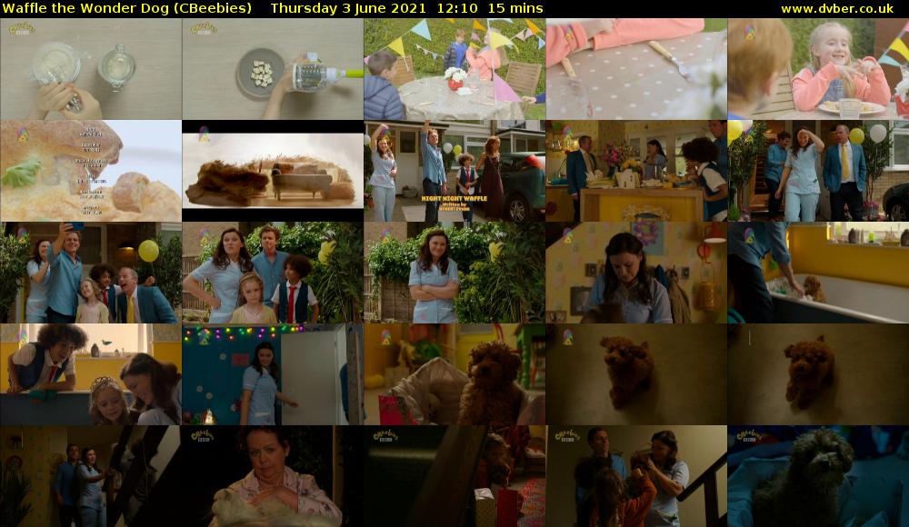 Waffle the Wonder Dog (CBeebies) Thursday 3 June 2021 12:10 - 12:25