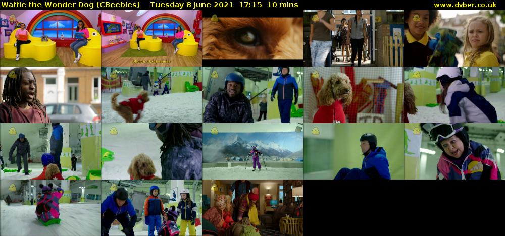 Waffle the Wonder Dog (CBeebies) Tuesday 8 June 2021 17:15 - 17:25