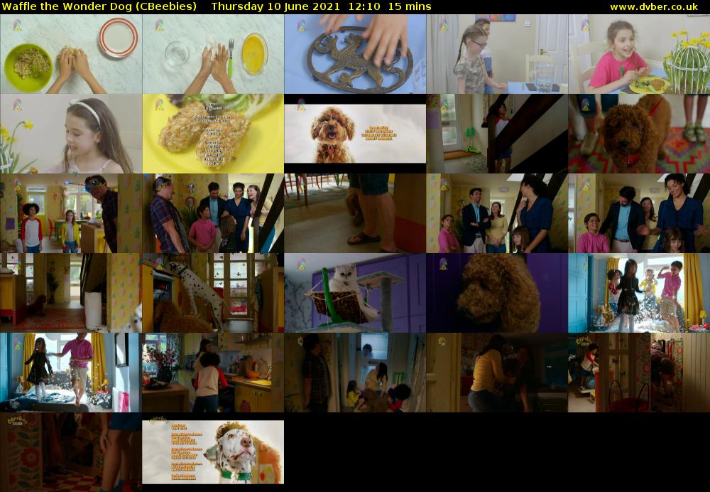 Waffle the Wonder Dog (CBeebies) Thursday 10 June 2021 12:10 - 12:25