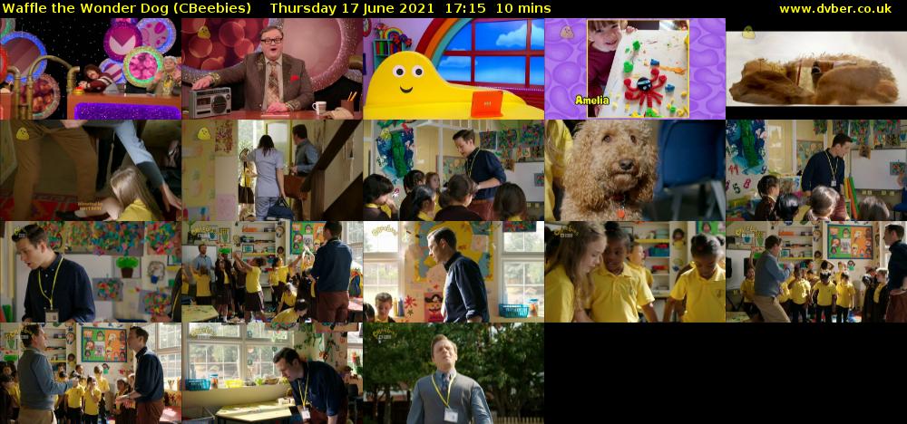 Waffle the Wonder Dog (CBeebies) Thursday 17 June 2021 17:15 - 17:25