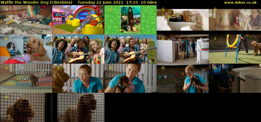 Waffle the Wonder Dog (CBeebies) Tuesday 22 June 2021 17:15 - 17:25
