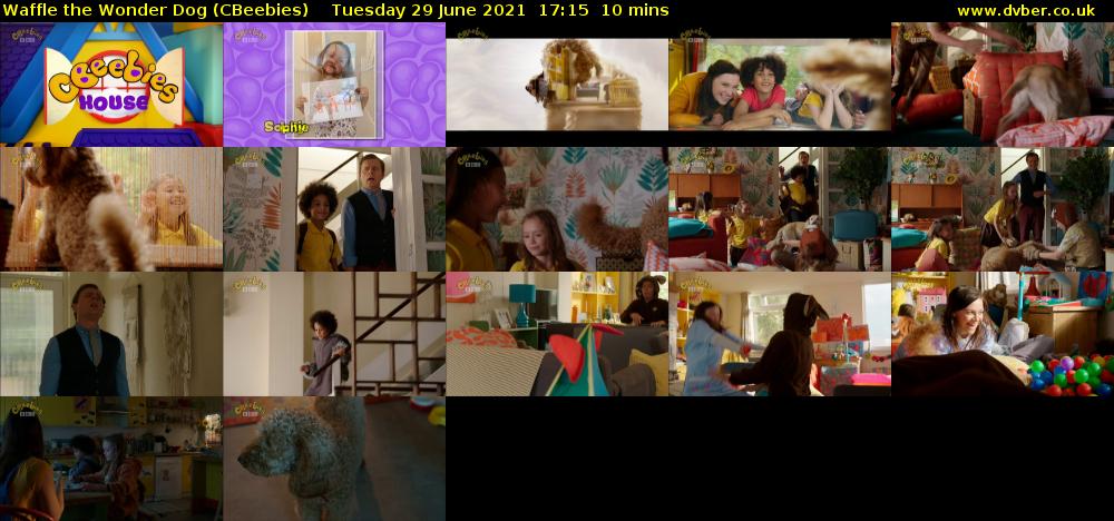 Waffle the Wonder Dog (CBeebies) Tuesday 29 June 2021 17:15 - 17:25