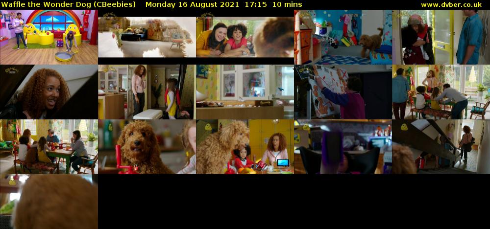Waffle the Wonder Dog (CBeebies) Monday 16 August 2021 17:15 - 17:25