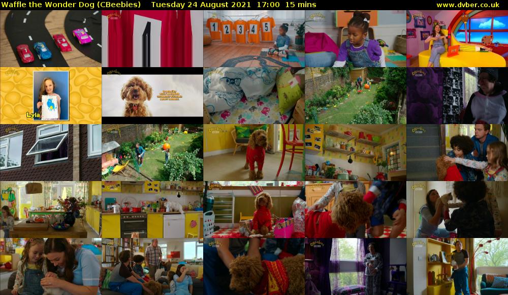 Waffle the Wonder Dog (CBeebies) - 2021-08-24-1700