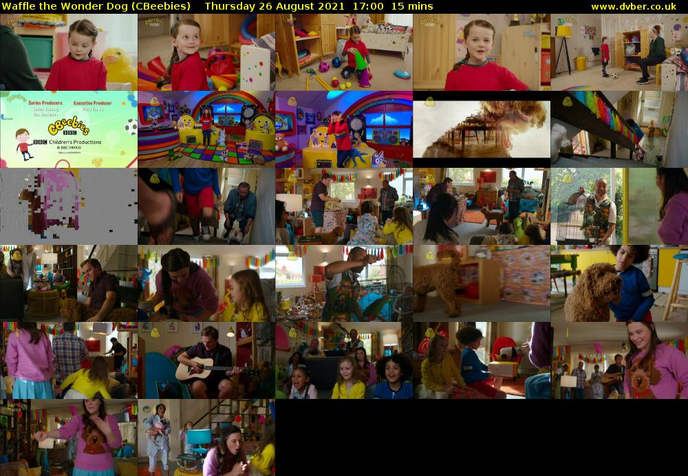 Waffle the Wonder Dog (CBeebies) Thursday 26 August 2021 17:00 - 17:15