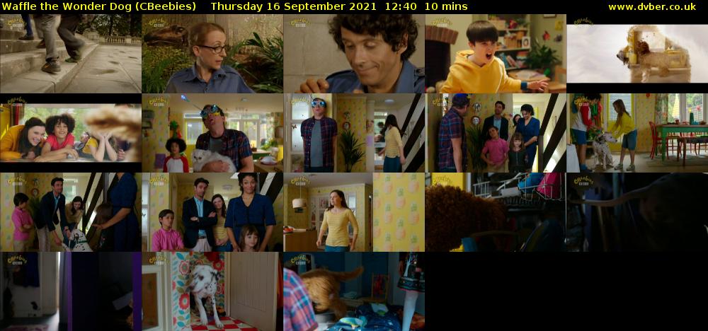 Waffle the Wonder Dog (CBeebies) Thursday 16 September 2021 12:40 - 12:50