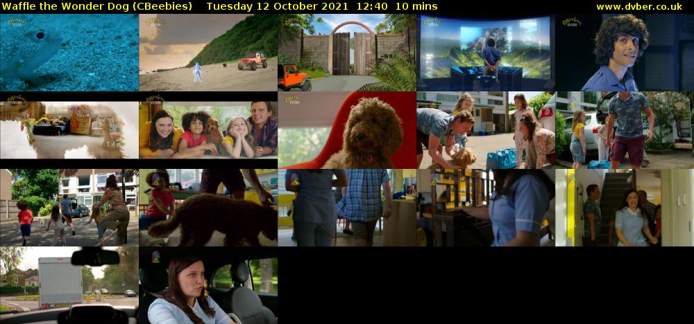 Waffle the Wonder Dog (CBeebies) Tuesday 12 October 2021 12:40 - 12:50