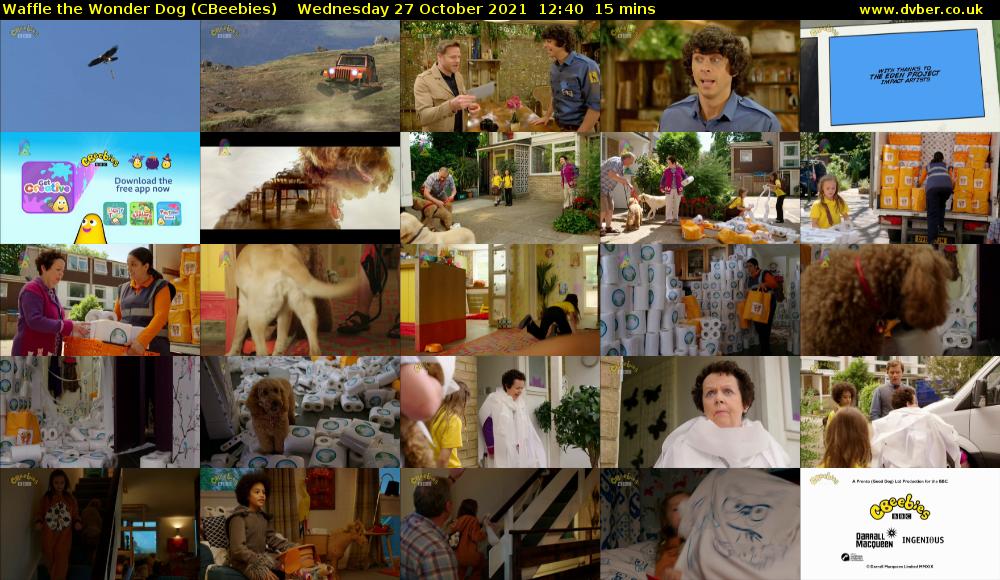 Waffle the Wonder Dog (CBeebies) Wednesday 27 October 2021 12:40 - 12:55