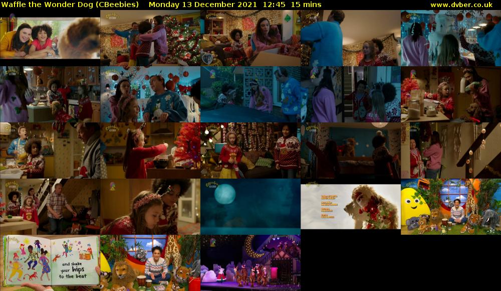 Waffle the Wonder Dog (CBeebies) Monday 13 December 2021 12:45 - 13:00