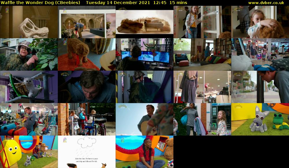Waffle the Wonder Dog (CBeebies) Tuesday 14 December 2021 12:45 - 13:00