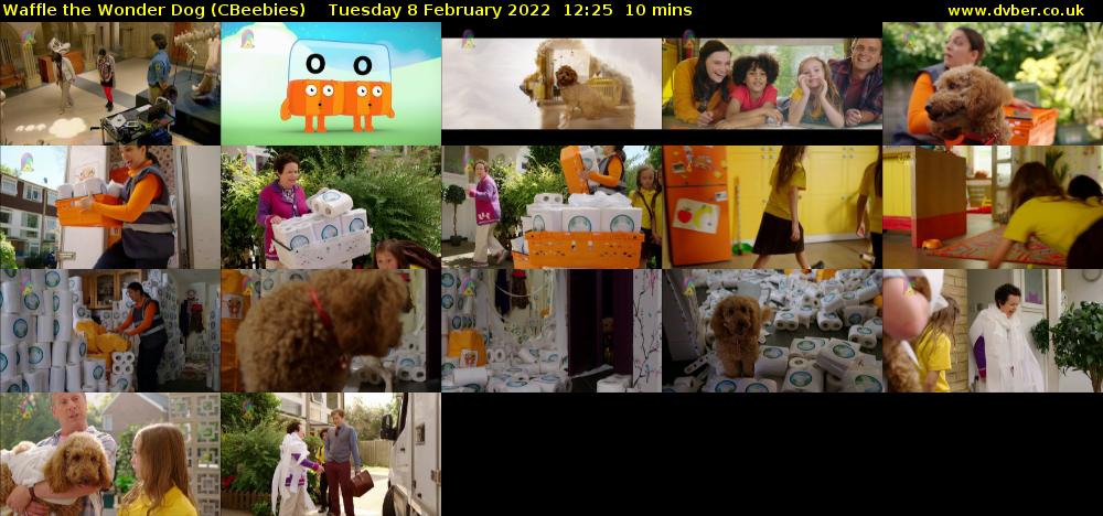 Waffle the Wonder Dog (CBeebies) Tuesday 8 February 2022 12:25 - 12:35