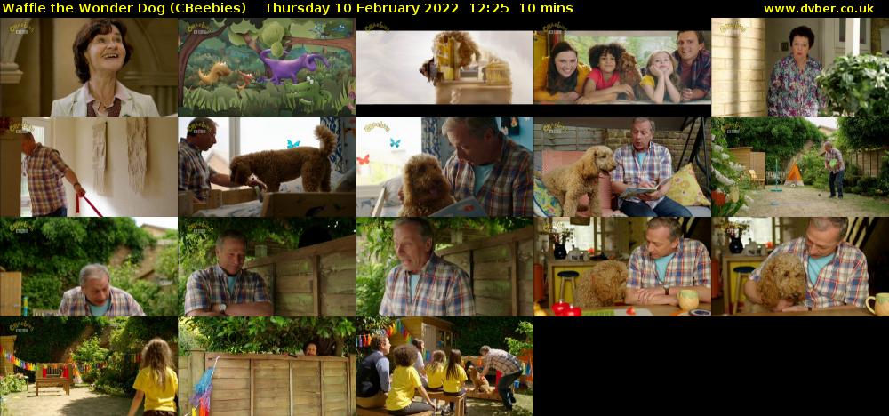 Waffle the Wonder Dog (CBeebies) Thursday 10 February 2022 12:25 - 12:35