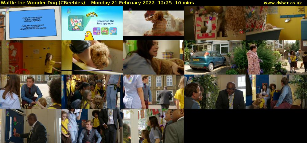 Waffle the Wonder Dog (CBeebies) Monday 21 February 2022 12:25 - 12:35