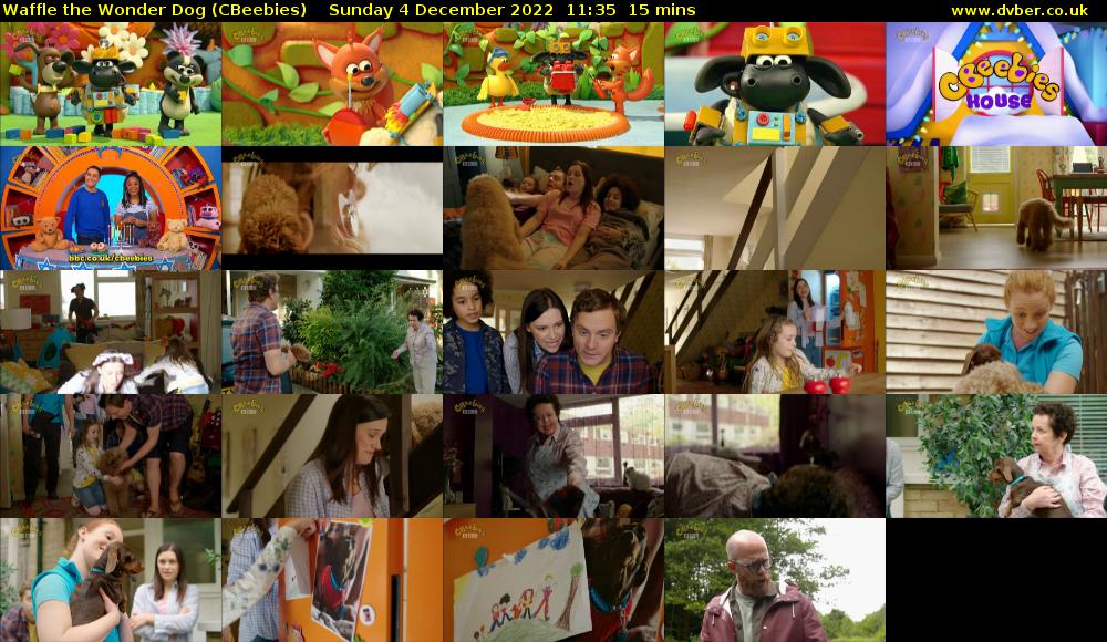 Waffle the Wonder Dog (CBeebies) Sunday 4 December 2022 11:35 - 11:50