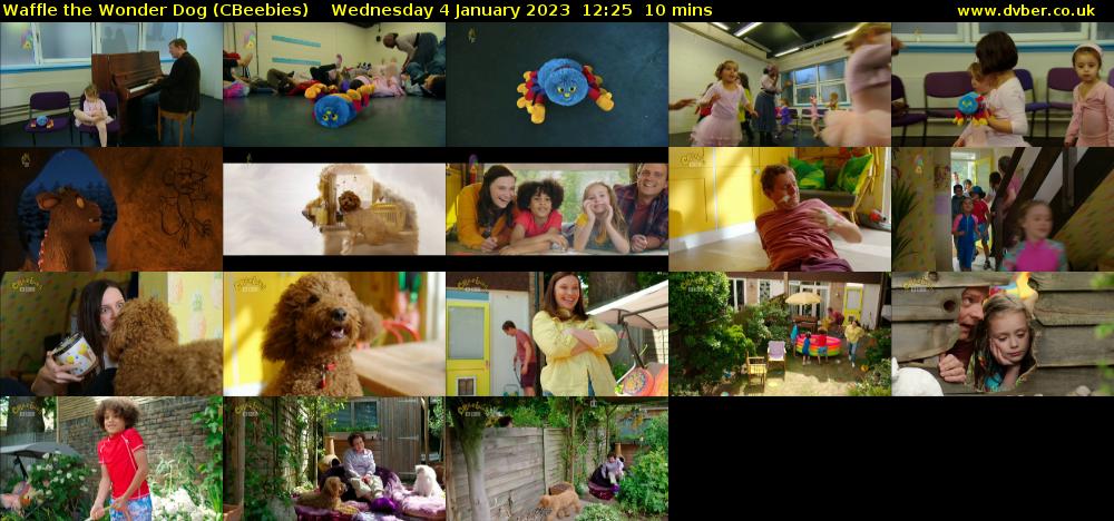 Waffle the Wonder Dog (CBeebies) Wednesday 4 January 2023 12:25 - 12:35