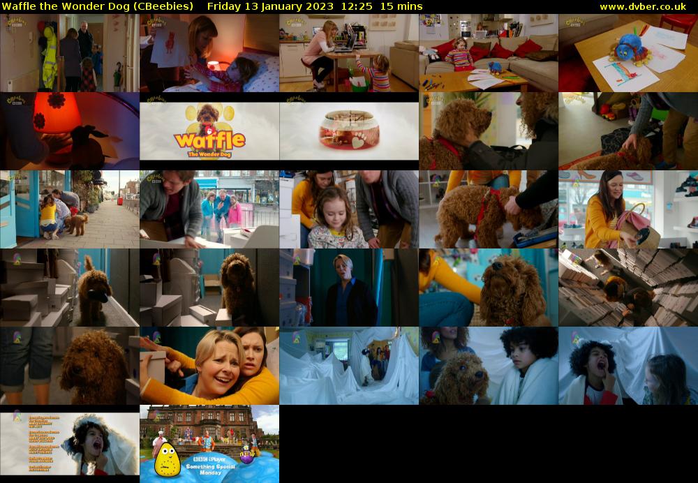 Waffle the Wonder Dog (CBeebies) Friday 13 January 2023 12:25 - 12:40