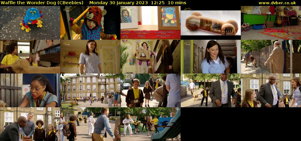 Waffle the Wonder Dog (CBeebies) Monday 30 January 2023 12:25 - 12:35