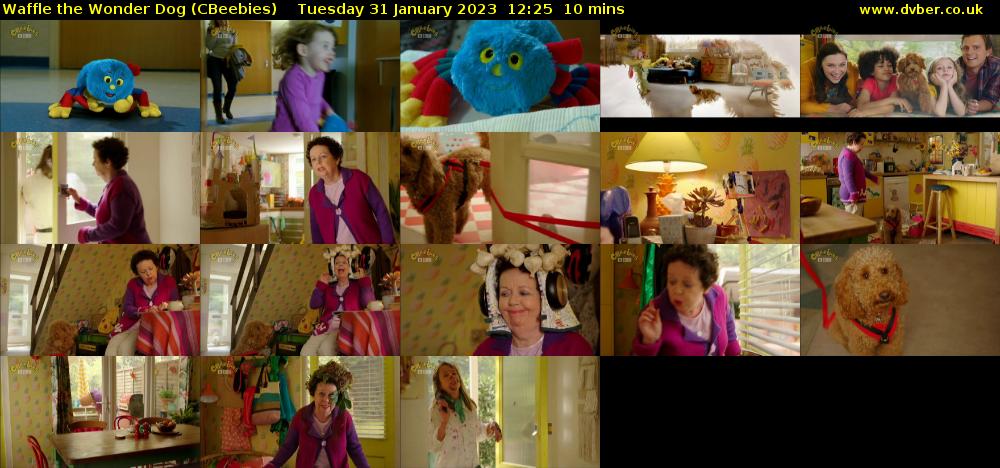 Waffle the Wonder Dog (CBeebies) Tuesday 31 January 2023 12:25 - 12:35