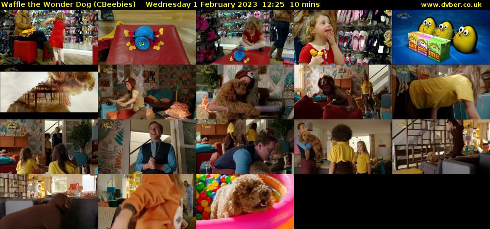 Waffle the Wonder Dog (CBeebies) Wednesday 1 February 2023 12:25 - 12:35