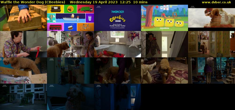 Waffle the Wonder Dog (CBeebies) Wednesday 19 April 2023 12:25 - 12:35