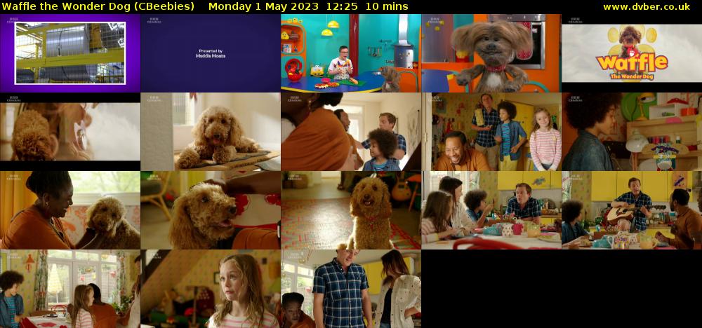 Waffle the Wonder Dog (CBeebies) Monday 1 May 2023 12:25 - 12:35