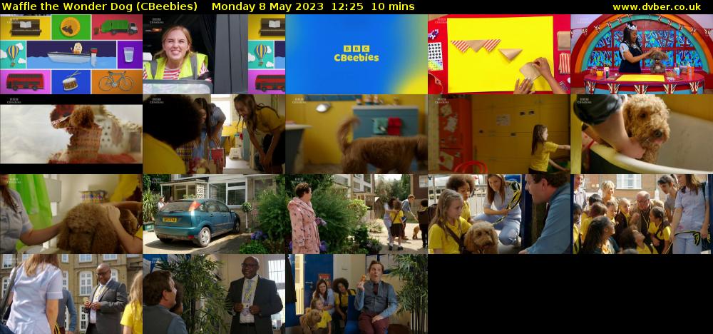 Waffle the Wonder Dog (CBeebies) Monday 8 May 2023 12:25 - 12:35