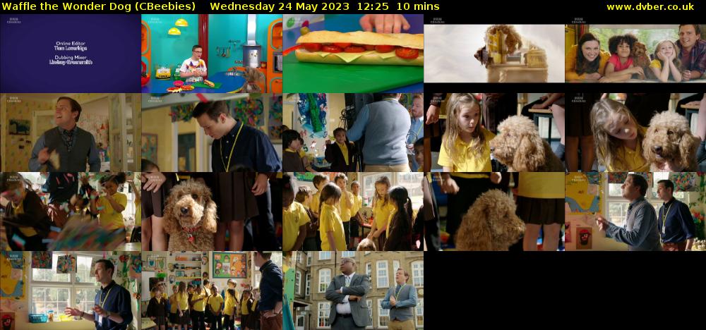 Waffle the Wonder Dog (CBeebies) Wednesday 24 May 2023 12:25 - 12:35