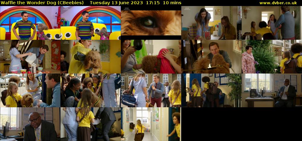 Waffle the Wonder Dog (CBeebies) Tuesday 13 June 2023 17:15 - 17:25
