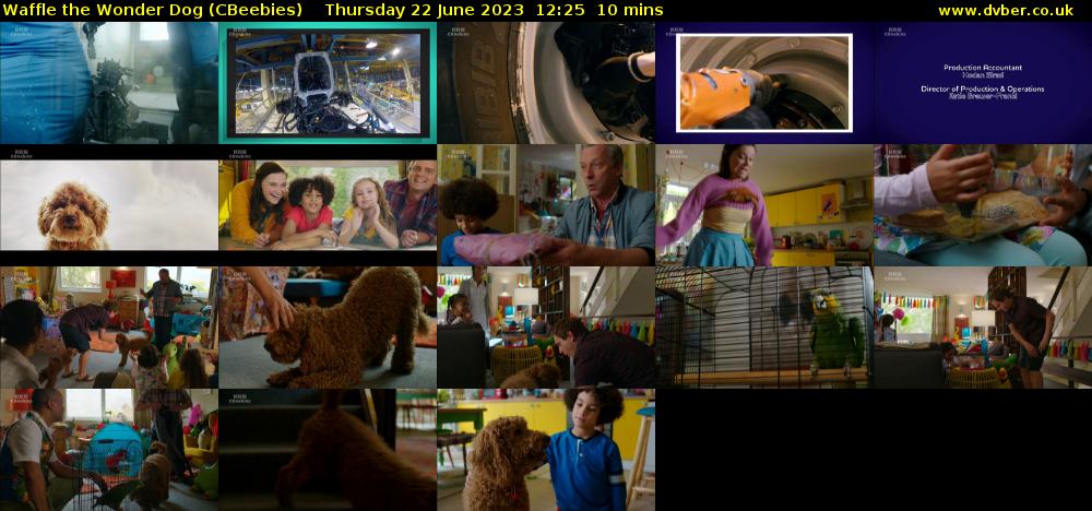 Waffle the Wonder Dog (CBeebies) Thursday 22 June 2023 12:25 - 12:35