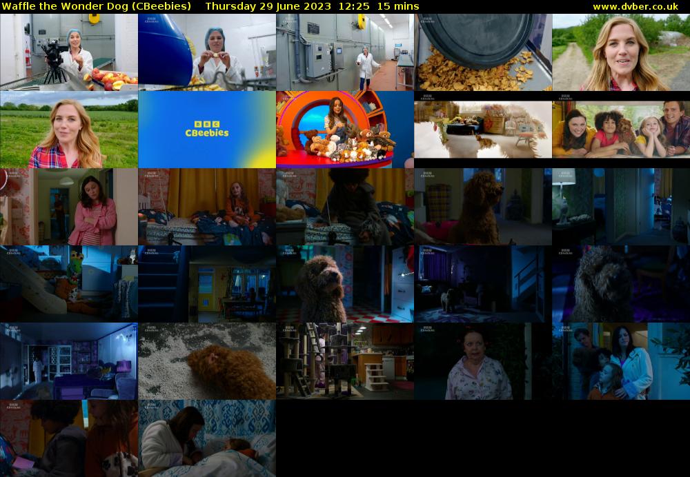 Waffle the Wonder Dog (CBeebies) 202306291225