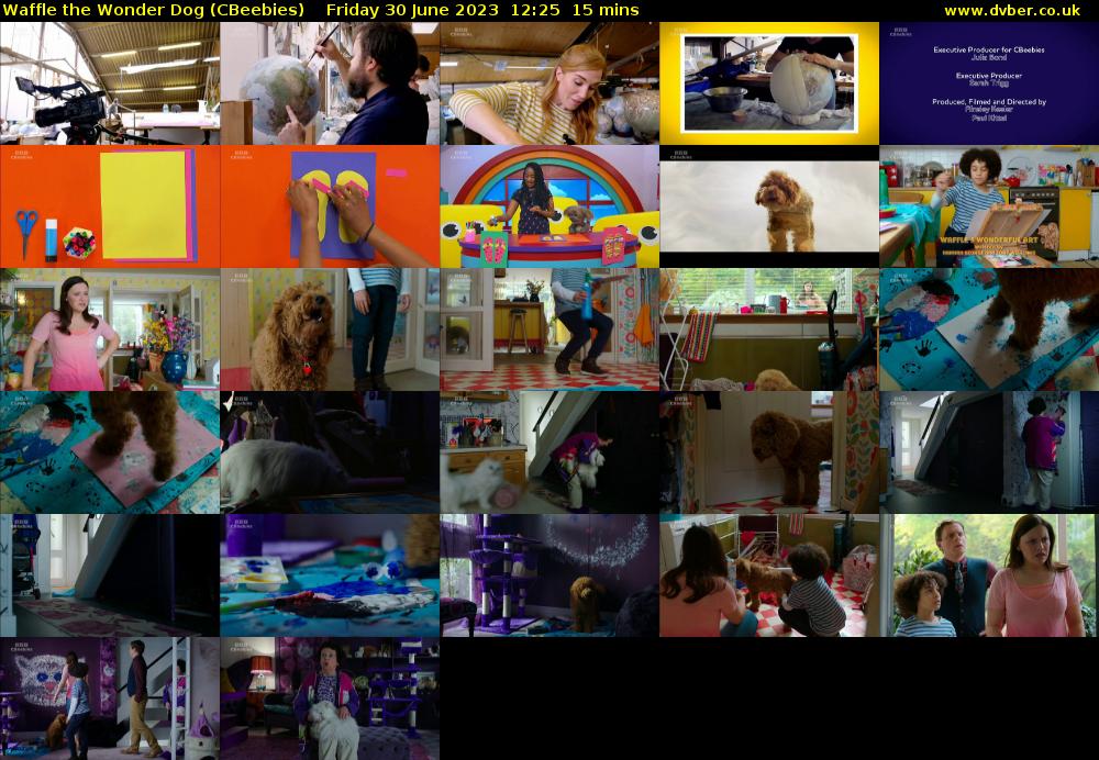 Waffle the Wonder Dog (CBeebies) Friday 30 June 2023 12:25 - 12:40
