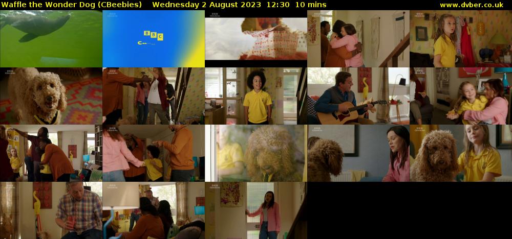 Waffle the Wonder Dog (CBeebies) Wednesday 2 August 2023 12:30 - 12:40