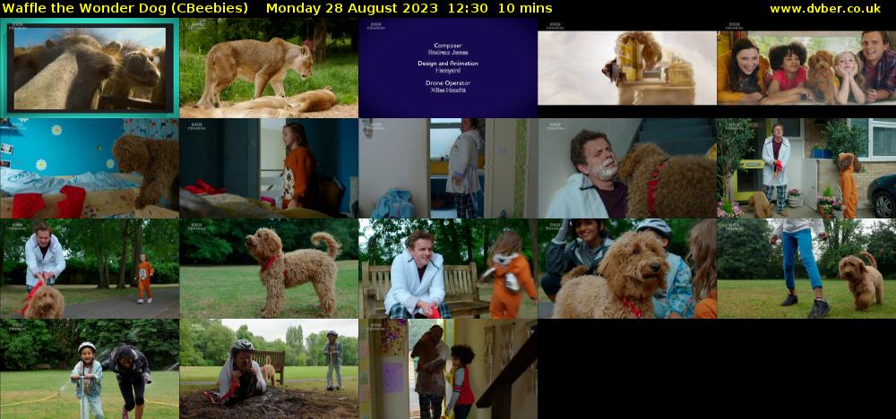 Waffle the Wonder Dog (CBeebies) Monday 28 August 2023 12:30 - 12:40
