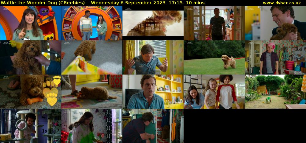 Waffle the Wonder Dog (CBeebies) Wednesday 6 September 2023 17:15 - 17:25