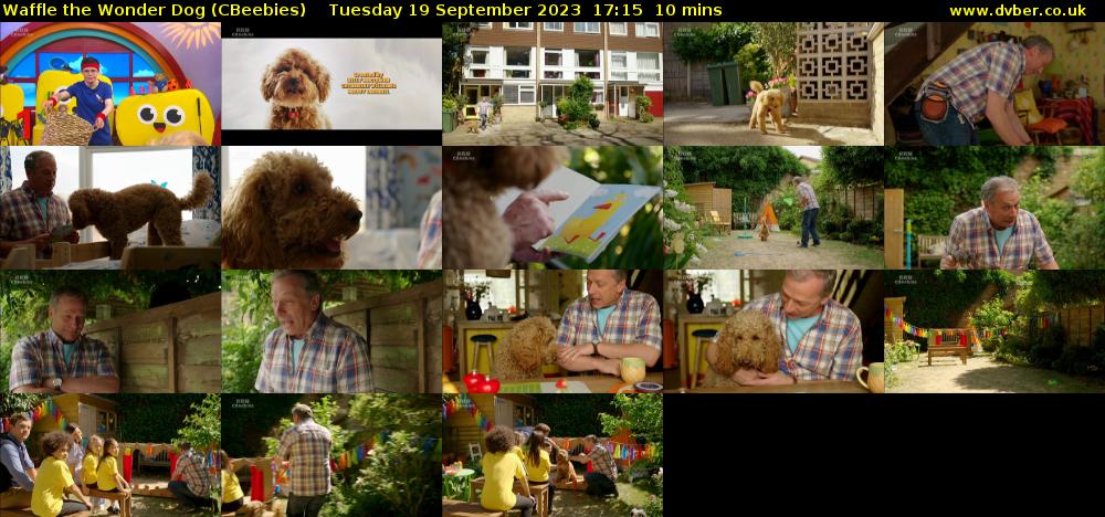 Waffle the Wonder Dog (CBeebies) Tuesday 19 September 2023 17:15 - 17:25