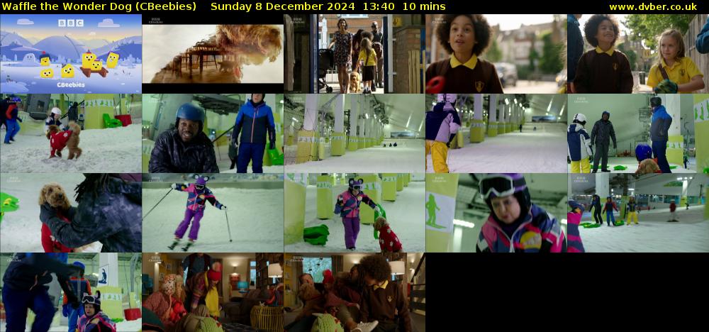 Waffle the Wonder Dog (CBeebies) Sunday 8 December 2024 13:40 - 13:50