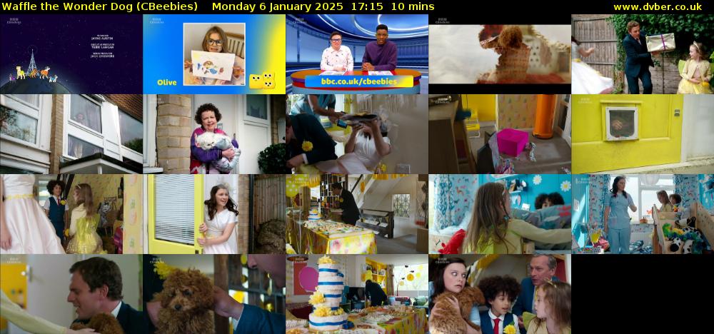 Waffle the Wonder Dog (CBeebies) Monday 6 January 2025 17:15 - 17:25