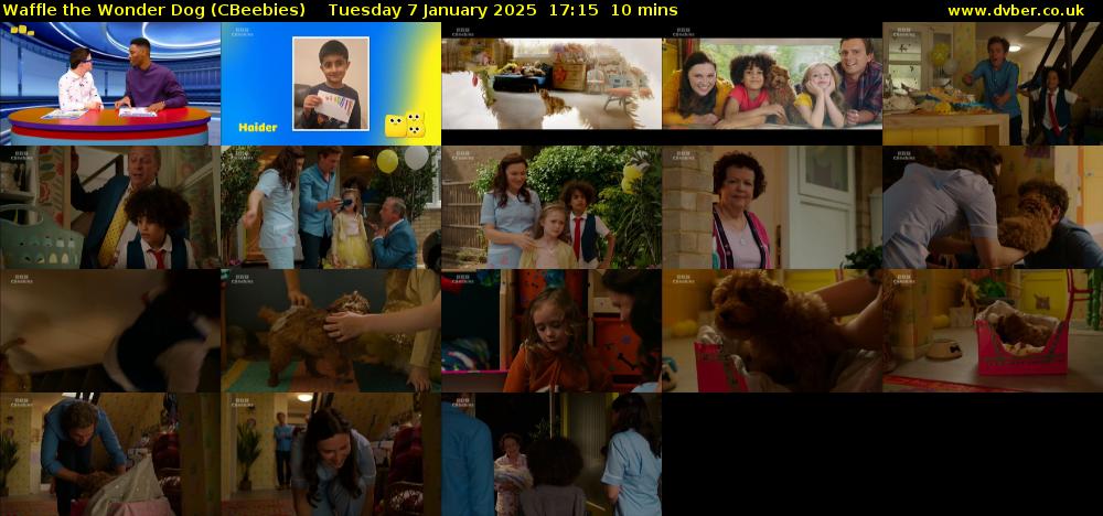 Waffle the Wonder Dog (CBeebies) Tuesday 7 January 2025 17:15 - 17:25