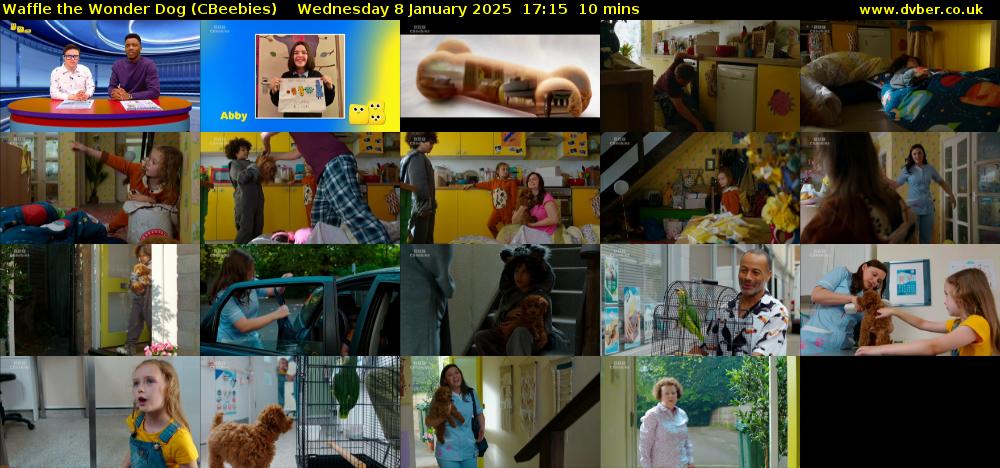 Waffle the Wonder Dog (CBeebies) Wednesday 8 January 2025 17:15 - 17:25