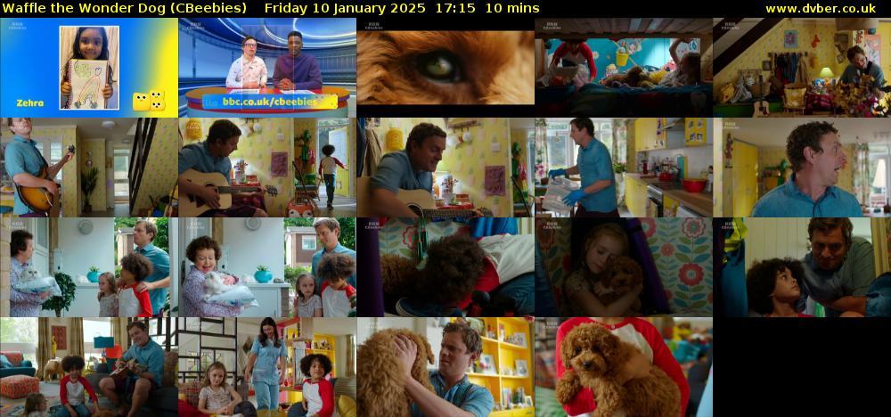 Waffle the Wonder Dog (CBeebies) Friday 10 January 2025 17:15 - 17:25
