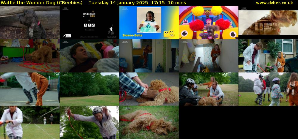 Waffle the Wonder Dog (CBeebies) Tuesday 14 January 2025 17:15 - 17:25