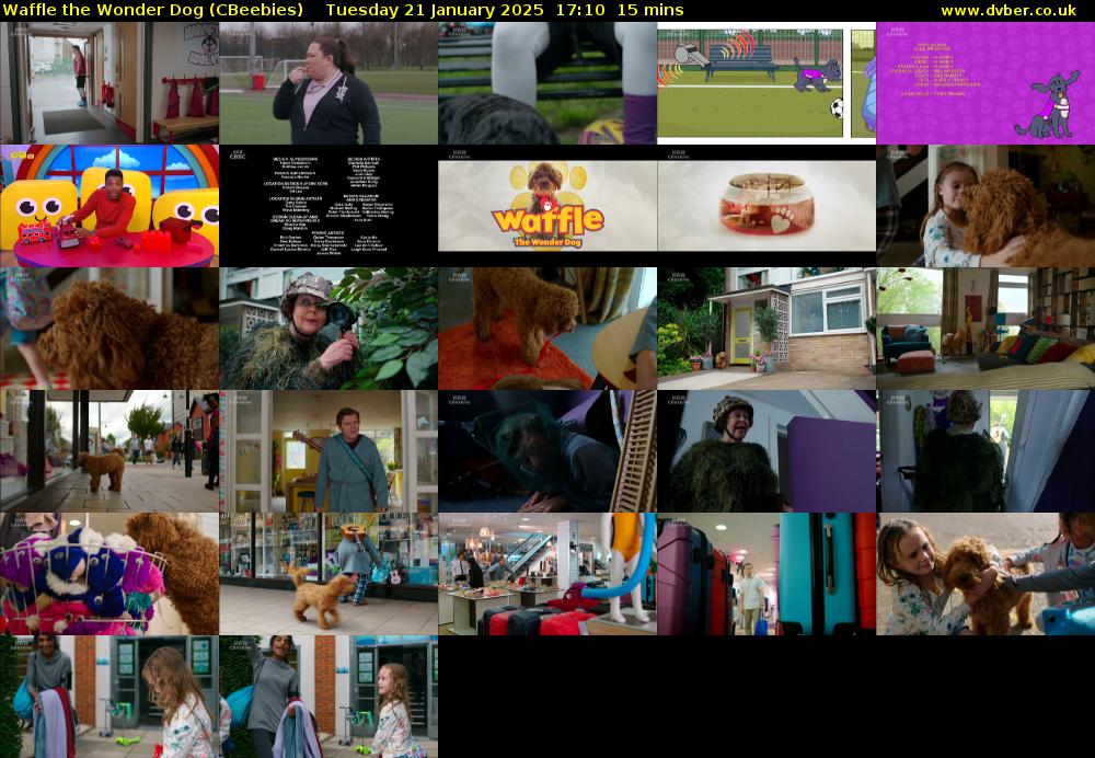 Waffle the Wonder Dog (CBeebies) Tuesday 21 January 2025 17:10 - 17:25