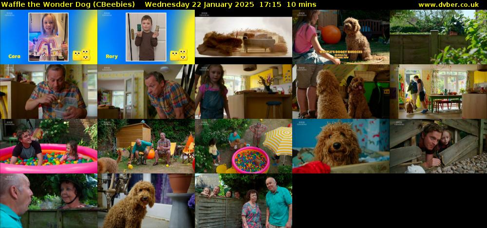Waffle the Wonder Dog (CBeebies) Wednesday 22 January 2025 17:15 - 17:25