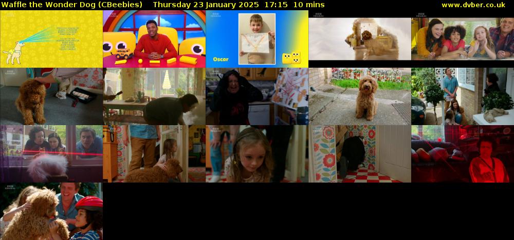 Waffle the Wonder Dog (CBeebies) Thursday 23 January 2025 17:15 - 17:25