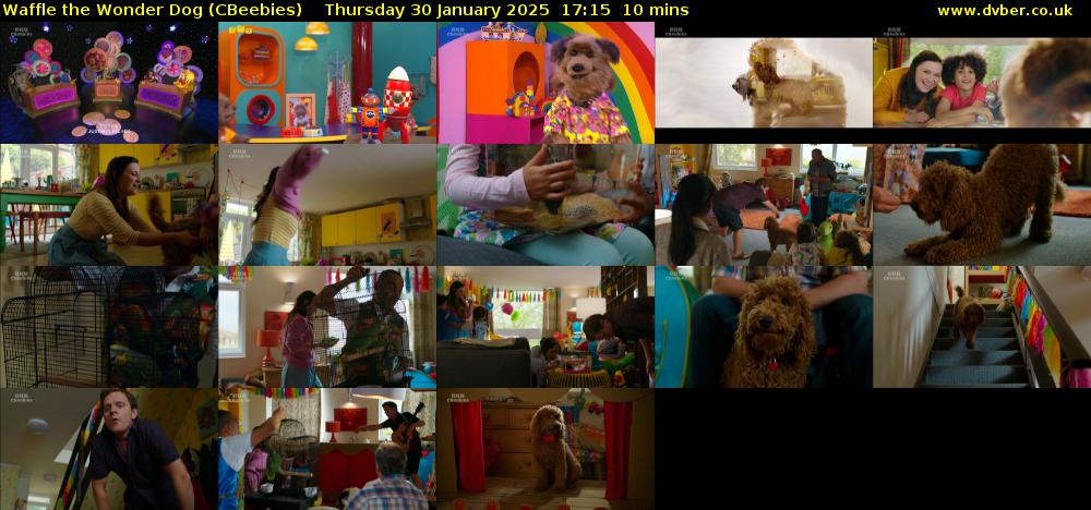 Waffle the Wonder Dog (CBeebies) Thursday 30 January 2025 17:15 - 17:25