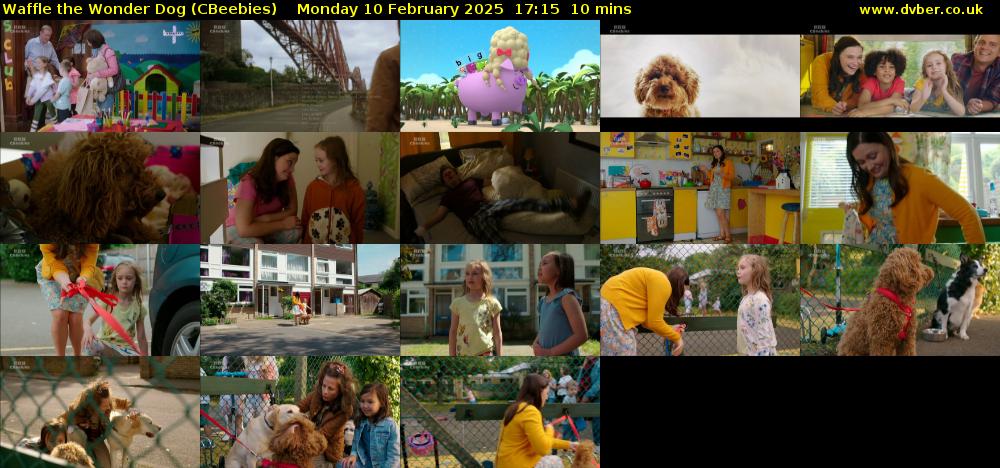 Waffle the Wonder Dog (CBeebies) Monday 10 February 2025 17:15 - 17:25