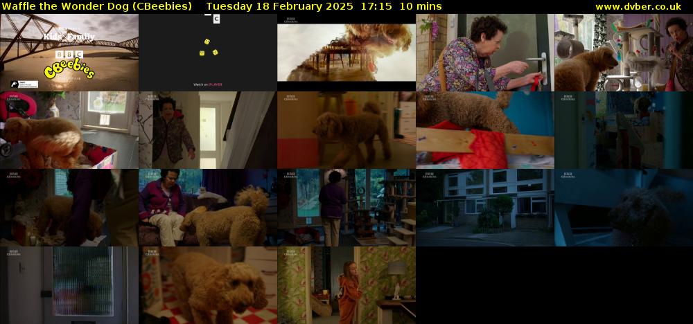 Waffle the Wonder Dog (CBeebies) Tuesday 18 February 2025 17:15 - 17:25
