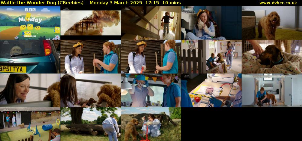 Waffle the Wonder Dog (CBeebies) Monday 3 March 2025 17:15 - 17:25
